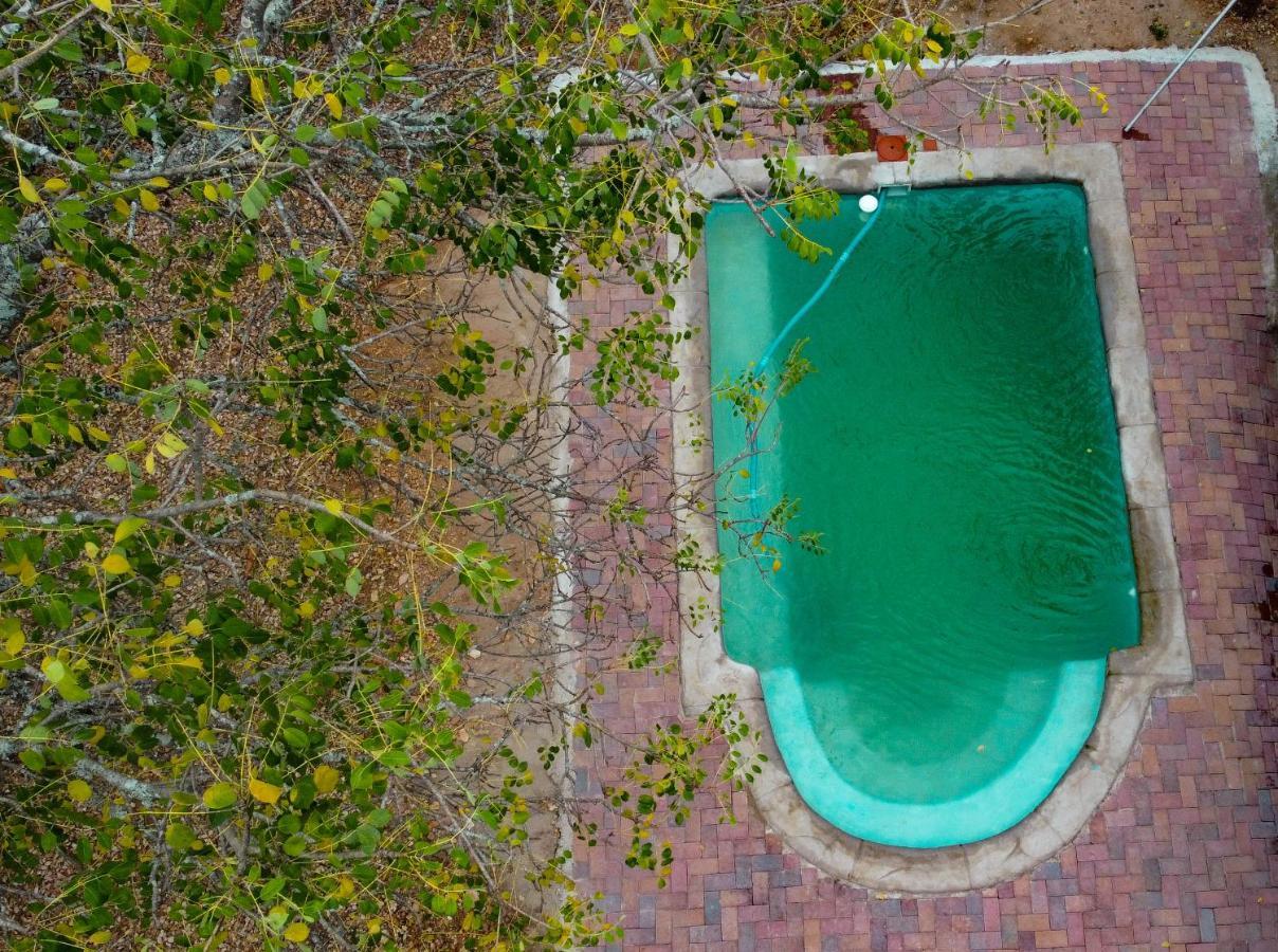 Nanisto Bush Lodge マールロス・パーク エクステリア 写真